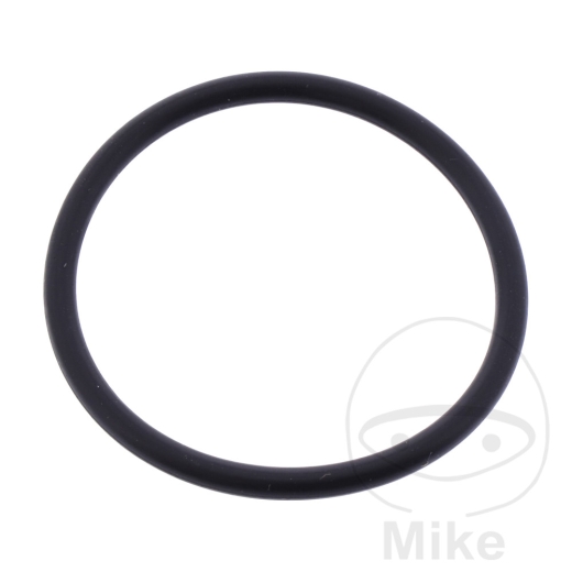 O-RING ÖLSIEB