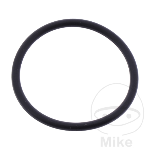 O-RING LSIEB