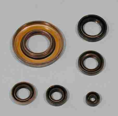WEDI SATZ MOTOR