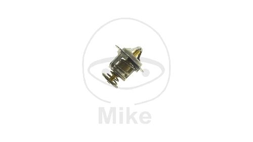 THERMOSTAT OE