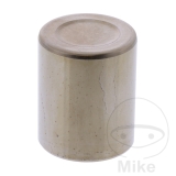 BREMSATTELKOLBEN TMX