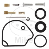 VERGASER REP.SATZ ABR