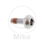 SCHRAUBE, SCHEIBE, 6X17(SAGA)