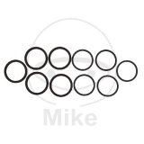 DICHTUNG STZ BR SATTELKOLBEN TMX