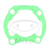 DICHTUNG ZYL FUSS ATH