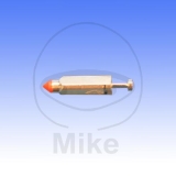 SCHWIMMERNADEL D ORTO