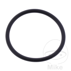 O-RING ÖLSIEB