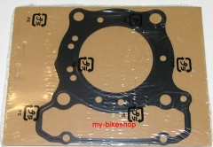 DICHTUNG, ZYLINDERKOPF (NIPPON LEAKLESS)