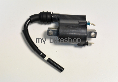 ZUENDSPULE KOMPL. (#1)