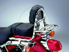 SISSY BAR GEPAECKTR FEHLING