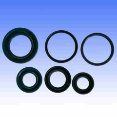 WEDI SATZ MOTOR