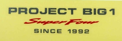 MARK,PROJE*TYPE1*