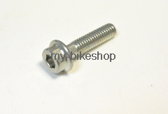 BOLT,FLANGE SOCKE             