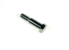 HALTEBOLZEN